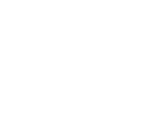 Gitneta logo